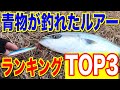 【永久保存版】2020年秋のショアジギングで青物が釣れたルアーTOP3を発表します！！