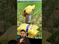 مزارع صيني عمل فكرة غريبة