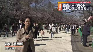 自粛ムードの中、上野公園の花見客は