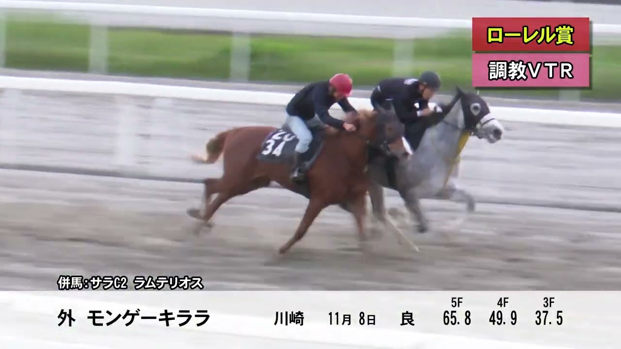 黄昏のプレデュード 有馬かな PR+ CXチャレンジ 優勝 優勝PRカード 黄昏のプレリュード 有馬かな - メルカリ