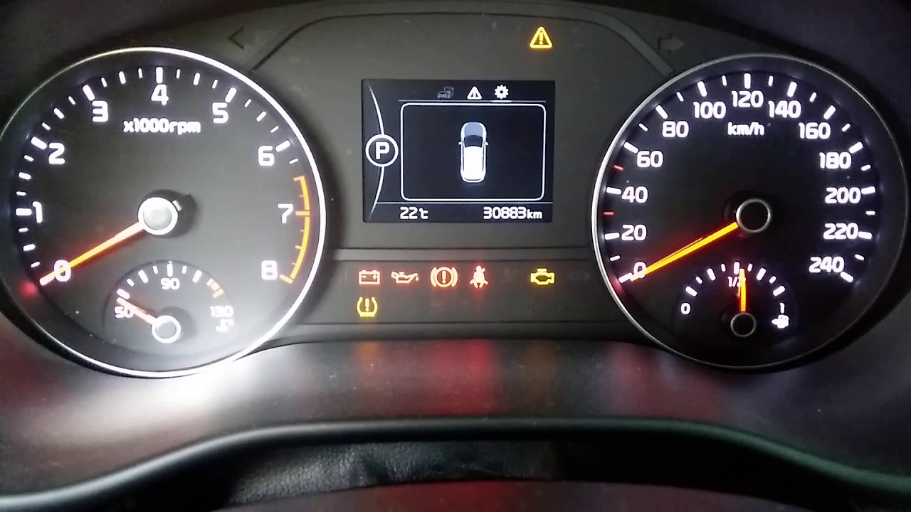 Kia Sportage 18 borrar servicio