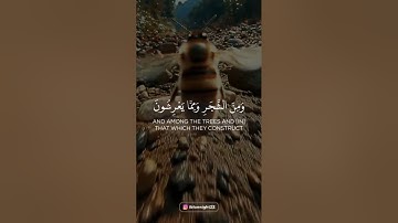 القارئ:#عبدالله_الموسى حفظه الله. امام جامع طرجم بن سلامة/الرياض