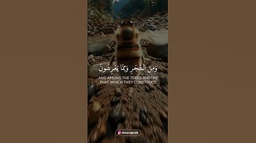القارئ:#عبدالله_الموسى حفظه الله. امام جامع طرجم بن سلامة/الرياض