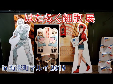 【アニメ企画展】「はたらく細胞 展 in 有楽町マルイ」に行って来た♡