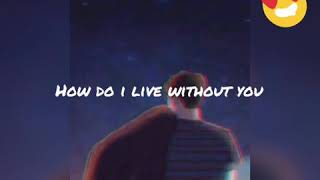 Vignette de la vidéo "Cover Queens - How Do I Live Without You"