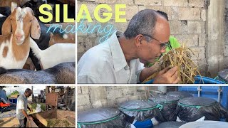 SILAGE MAKING FOR GOATS