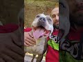 #Brut
