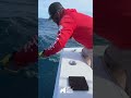 Cabo Fishing Podcast | E10 S3 | "Munks Mobula Rays and Fishing with friends Yellow Tuna"