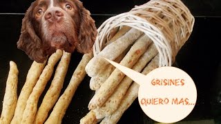 Galletas para mis perros, sin sal, 3 ingredientes. Grissini per miei cani. Pet