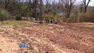 UNCA Garden Tour