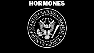 Download Lagu Commando MP3