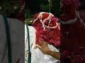 25 Muharram juloos zuljana ##