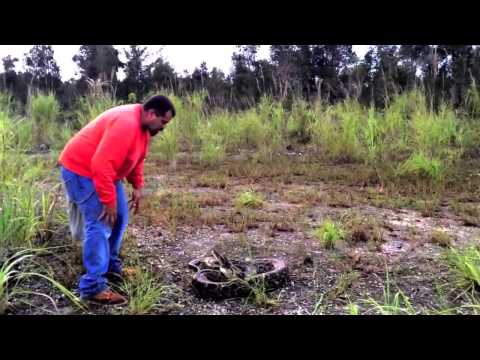Ruben Ramirez Florida Python Hunters