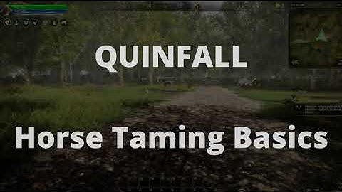 Quinfall Horse Taming Guide