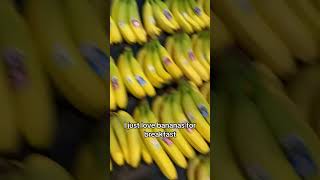 Schnucks Shopping Haul - Vidalia Onions, Eggs, And Bananas