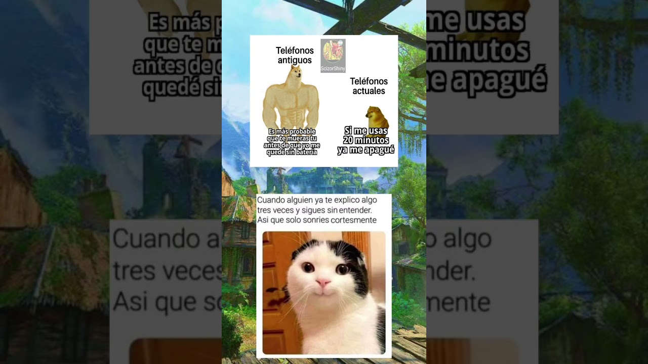 memes #meme #funny - YouTube