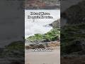 Mediterranean Waves | Natural Ocean Sound for Relaxing