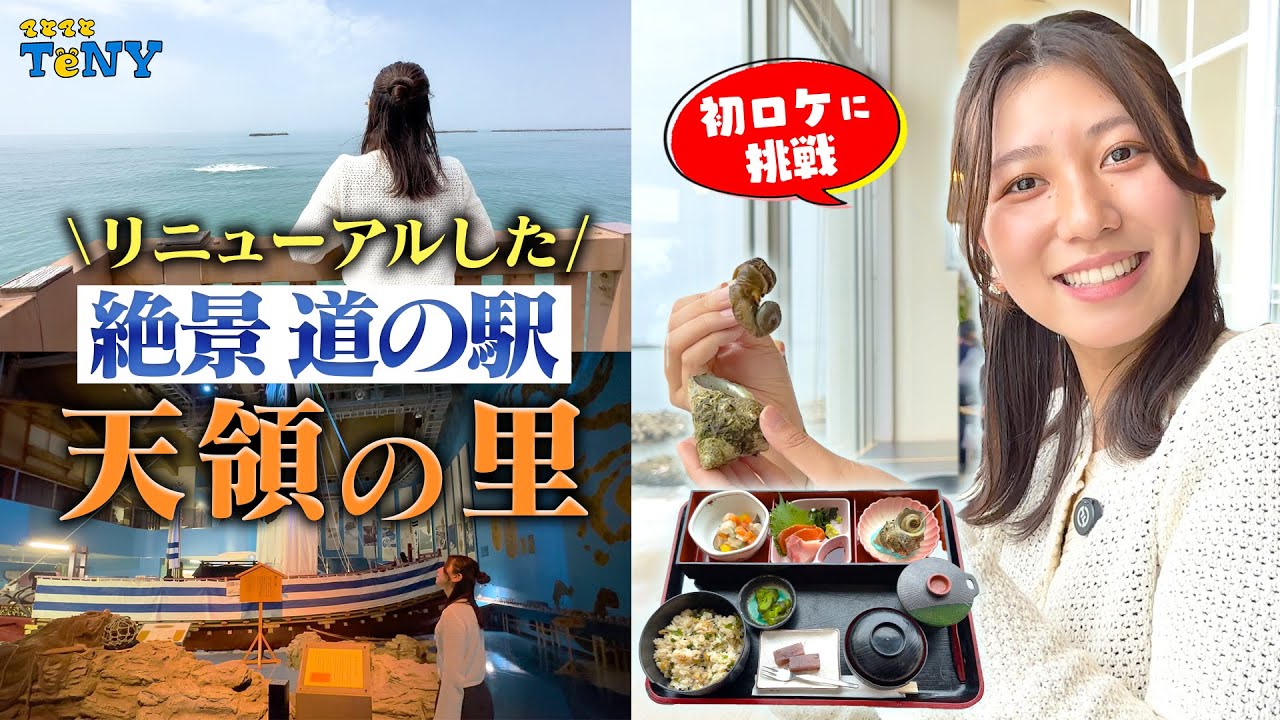 【新潟 観光】目の前は日本海、絶景の道の駅！越後出雲崎天領の里が最高すぎた！！