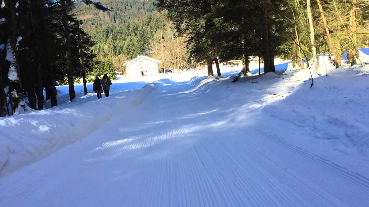 Rodeln Adlgaß 2015 große Abfahrt