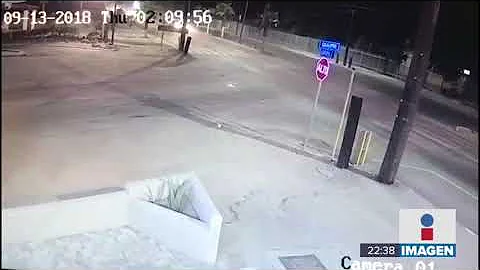 Otro montaje de policas: "El Zar de la Totoaba" no...