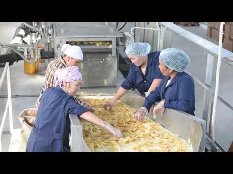 Завод «UniMaster-Agro», производство картофельных чипсов «Master Snack»