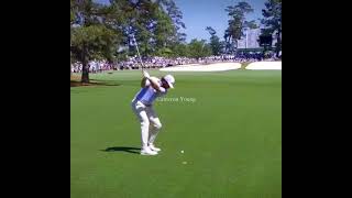 Cameron Young swing compilation 🔥
