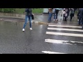 Мама-утка и утята переходят дорогу в Москве