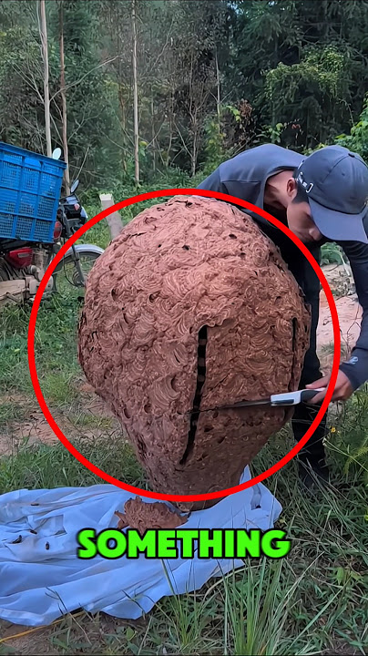 This HUGE Object Hides Something Shocking‼️😱