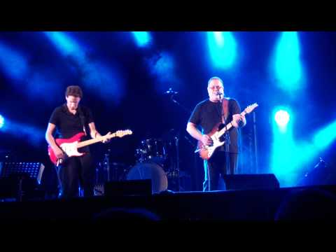 יהודה פוליקר שלל שרב 