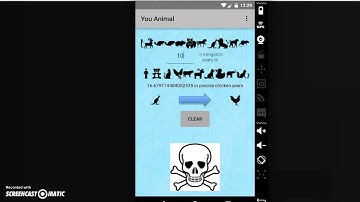 You Animal Prog Assignment