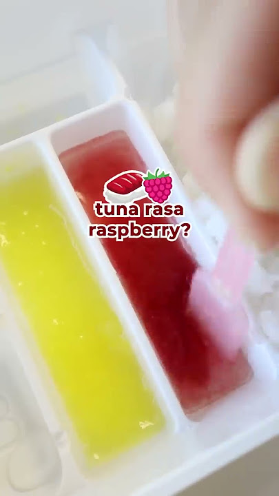 TRY THIS JAPANESE DIY SUSHI CANDY TOY FOR KIDS! TURN IT INTO REAL SUSHI!!