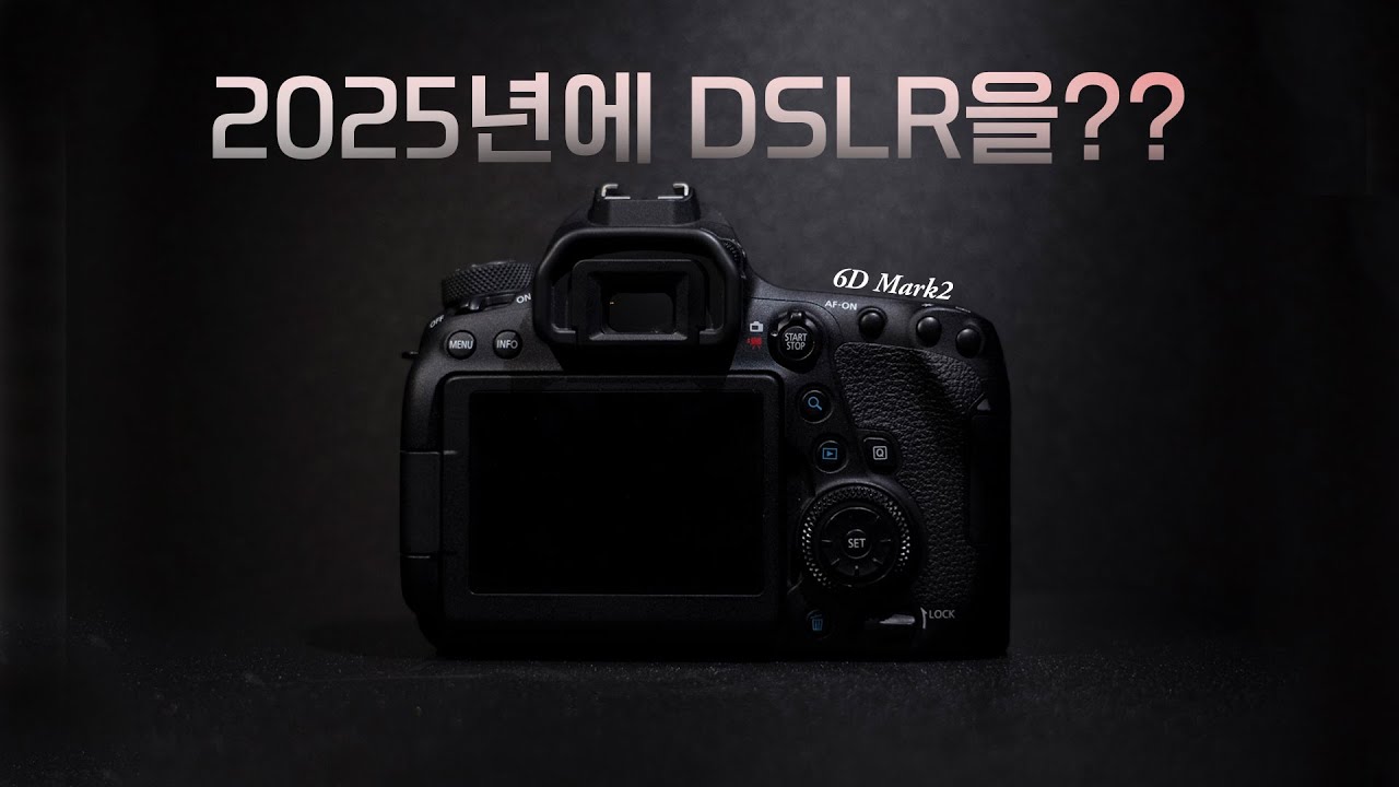 2025년에 8년전 DSLR은 어떨까? (Canon 6D mark2 + EF 50mm 1.8)