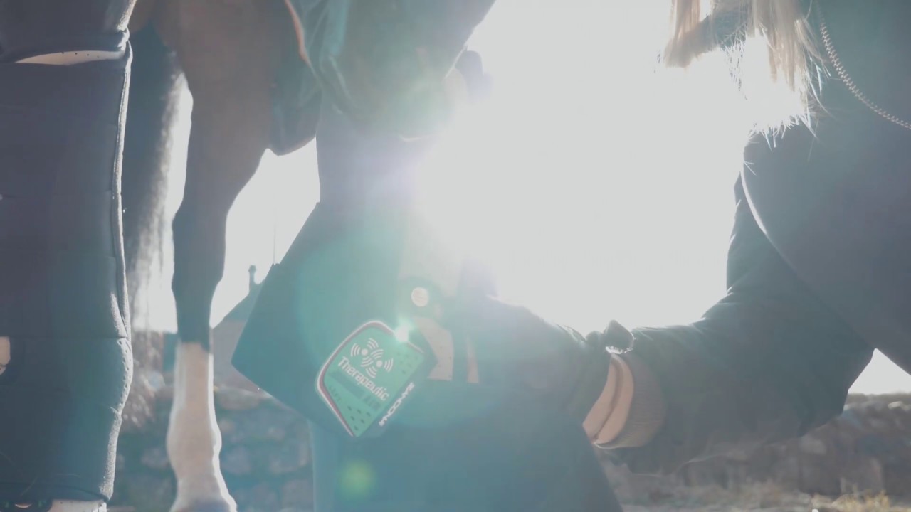 Guêtre Thérapeutique Magnétique Pour Cheval - Support Boot Air Avec 18 Aimants Pour Soins Et Récupération