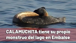 Calamuchita tiene su propio monstruo del lago en Embalse