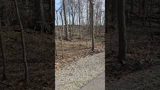 Walking the Monon Trail Highbridge in Delphi, Indiana talking about Libby and Abby...xxoo