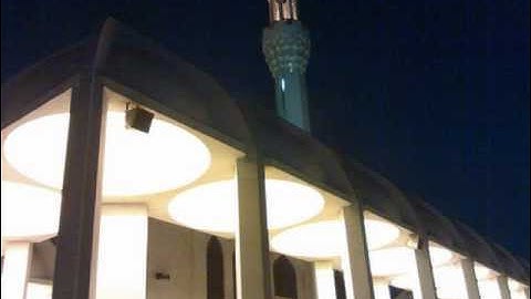 سورة المائدة بصوت هاني الرفاعي