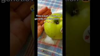 Genetic Modified Apple Gone Wrong- What Happened? #shorts #funny #food