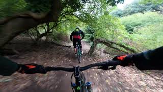 "Equilibrio Faunistico" - Veio Bike Park screenshot 2
