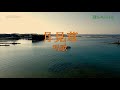 月見草/唱歌 (カラオケ)