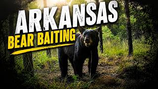 Getting ready for bear season, setting up bait stations