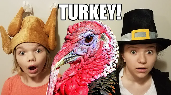Catching the Thanksgiving Turkey!