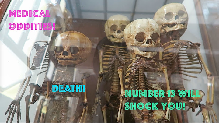 A Tour Through Congdon's Anatomical Museum & Siriraj Medical Museum