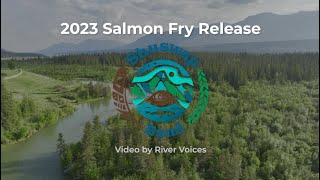 Shuswap Band Salmon fry release 2023