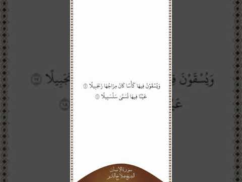 تلاوة في دقيقة سورة الإنسان الآيات من ١٧ إلى ١٨ الشيخ صلاح البدير 