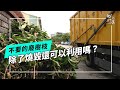 廢樹枝的小旅行｜廢木再利用成永續資材(我們的島 第1224集 2023-10-02)