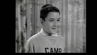 The World Famous Beaverpedia Minute Chopper