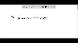 8. Which of the following organisms is a heterotroph? Select one: a. Paramecia b. Diatoms c. Dinofl…