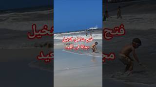 شاطئ النخيل  بدون خدمات فى العيد