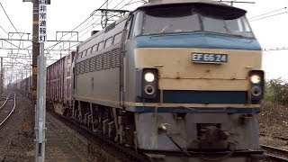 JR貨物 EF66-24 貨物列車(遅れ4084レ ゼロロク)① JR東海道本線 穂積駅 通過
