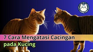 7 Cara Mengatasi Kucing Cacingan yang Efektif